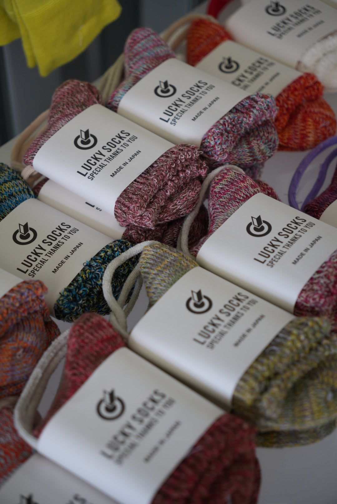 キッズサイズのマルチカラー👟