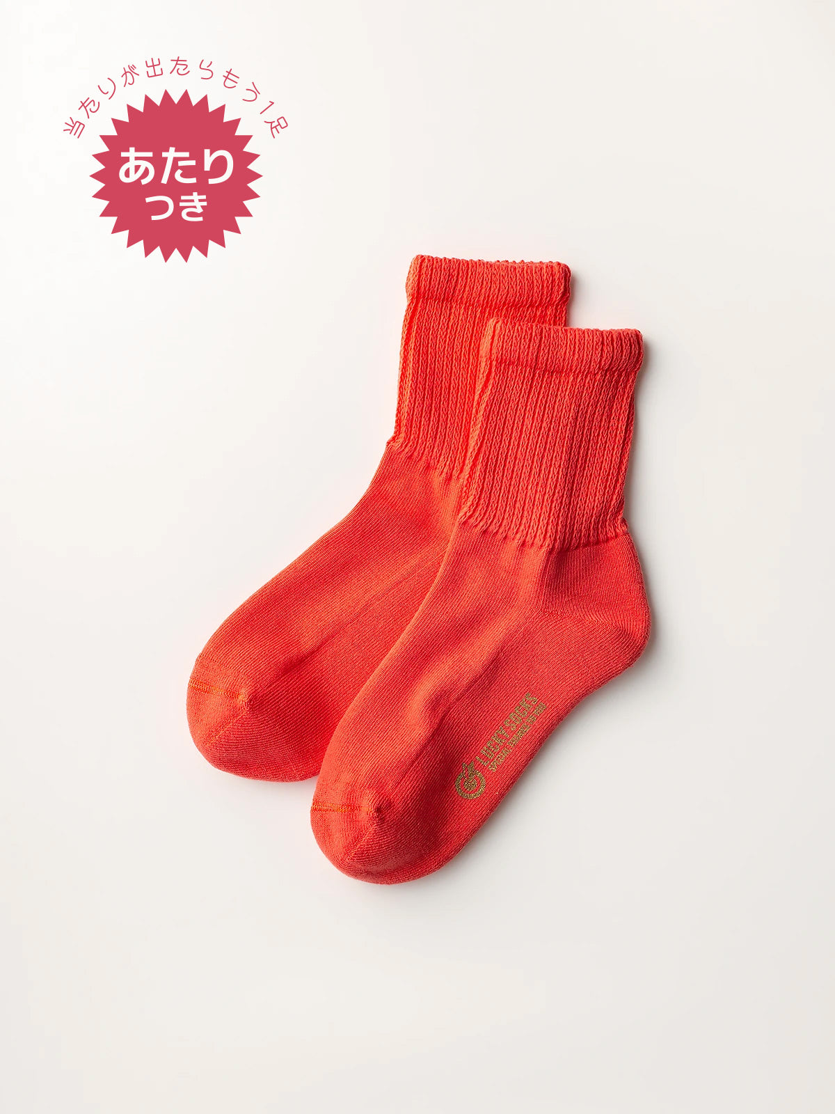 人気のブラッドオレンジ🍊