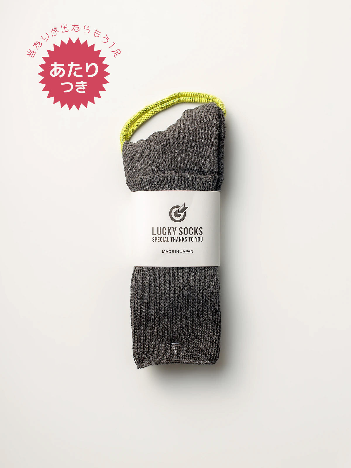 じわじわ人気上昇中!↗️